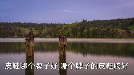 进口皮鞋哪个牌子好,哪个牌子的皮鞋胶好?
