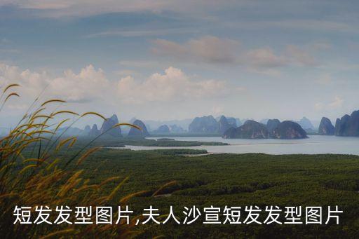 短发发型图片,夫人沙宣短发发型图片