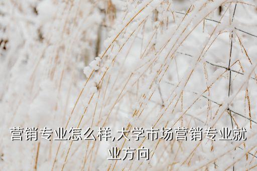 营销专业怎么样,大学市场营销专业就业方向