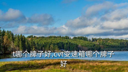 t哪个牌子好,cvt变速箱哪个牌子好