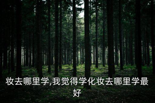 学化妆去哪里学,我觉得学化妆去哪里学最好