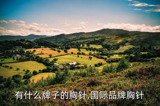 法国有什么牌子的胸针,国际品牌胸针
