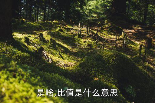 是啥,比值是什么意思