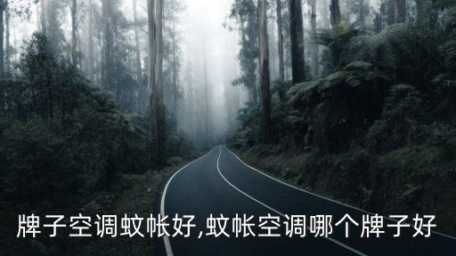 什么牌子空调蚊帐好,蚊帐空调哪个牌子好?