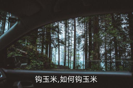怎么钩玉米,如何钩玉米