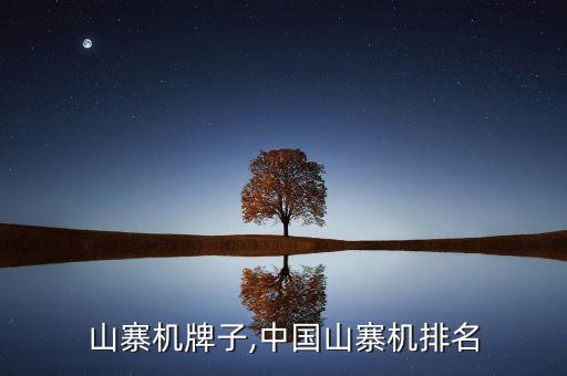 山寨机牌子,中国山寨机排名