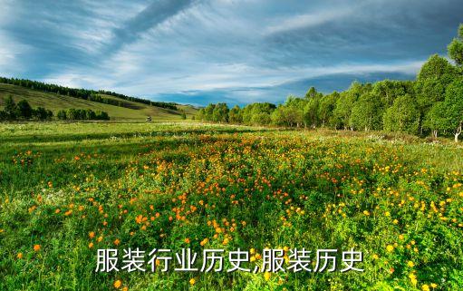 世界服装行业历史,服装历史