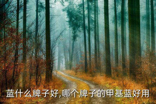 蓝什么牌子好,哪个牌子的甲基蓝好用