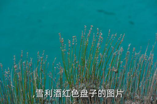 ,雪利酒红色盘子的图片