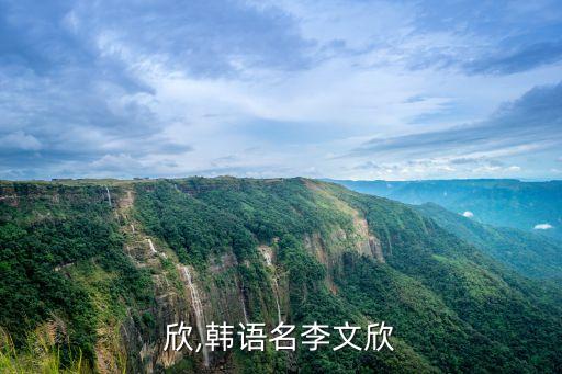 李文欣,韩语名李文欣?