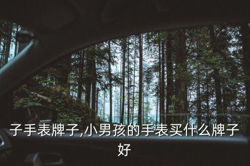 男孩子手表牌子,小男孩的手表买什么牌子好?