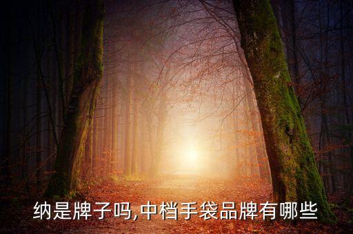 纳是牌子吗,中档手袋品牌有哪些
