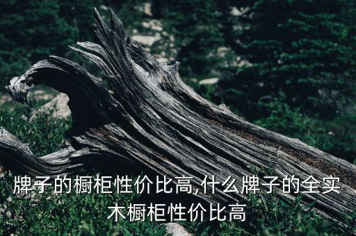 牌子的橱柜性价比高,什么牌子的全实木橱柜性价比高