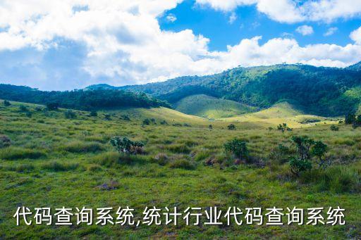 代码查询系统,统计行业代码查询系统