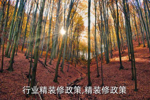 装修行业精装修政策,精装修政策