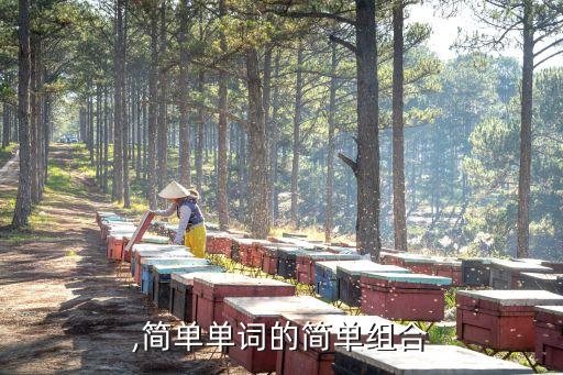 素朴,简单单词的简单组合