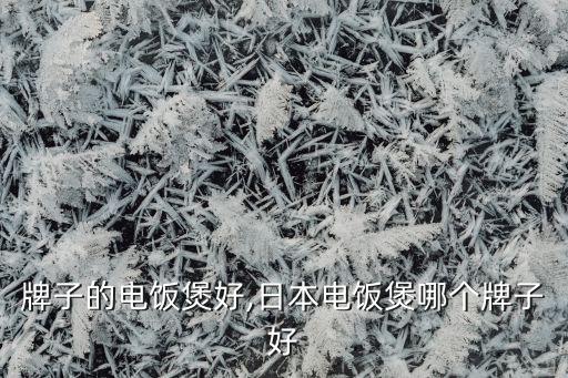 叫个牌子的电饭煲好,日本电饭煲哪个牌子好?