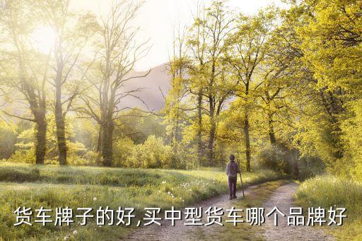 货车牌子的好,买中型货车哪个品牌好