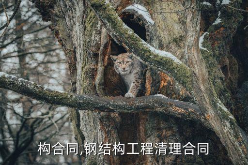钢结构合同,钢结构工程清理合同