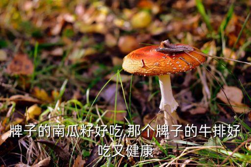 哪个牌子的南瓜籽好吃,那个牌子的牛排好吃又健康