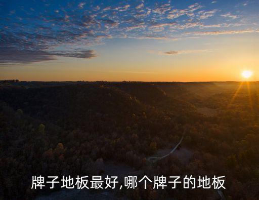 那个牌子地板最好,哪个牌子的地板?
