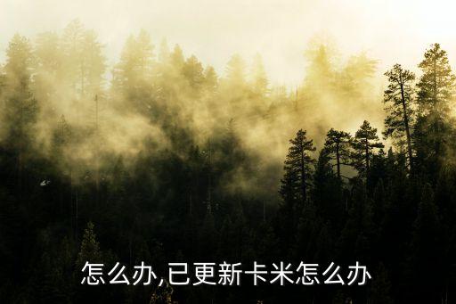 怎么办,已更新卡米怎么办
