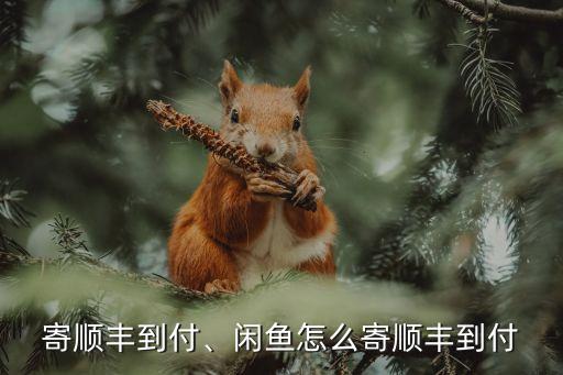 寄顺丰到付、闲鱼怎么寄顺丰到付