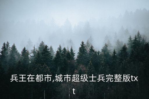 超品兵王在都市,城市超级士兵完整版txt