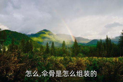 怎么,伞骨是怎么组装的