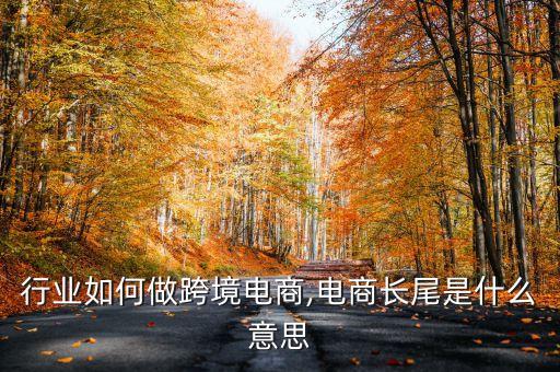 长尾行业如何做跨境电商,电商长尾是什么意思?