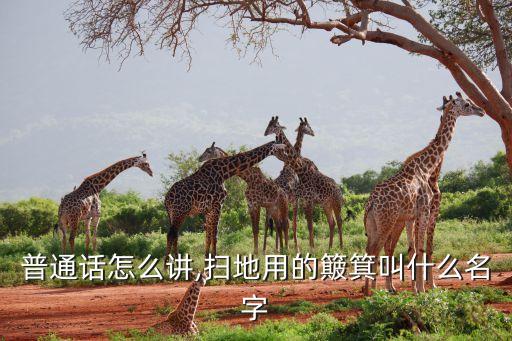 撮箕普通话怎么讲,扫地用的簸箕叫什么名字?