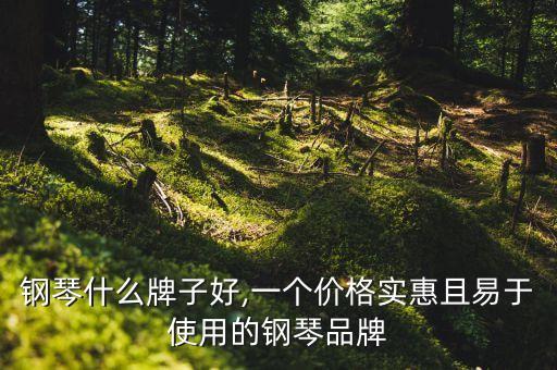 钢琴什么牌子好,一个价格实惠且易于使用的钢琴品牌
