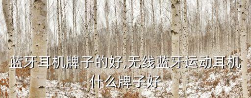 运动蓝牙耳机牌子的好,无线蓝牙运动耳机什么牌子好?
