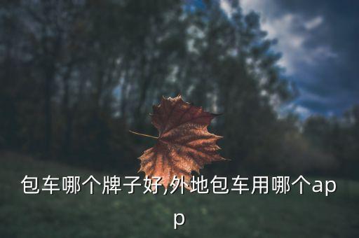 包车哪个牌子好,外地包车用哪个app