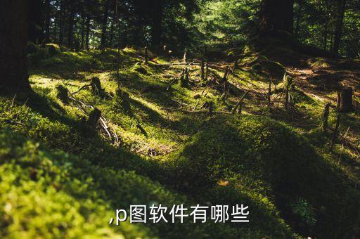 批图,p图软件有哪些?