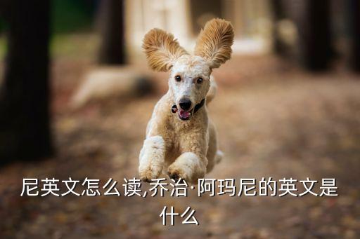 阿玛尼英文怎么读,乔治·阿玛尼的英文是什么?