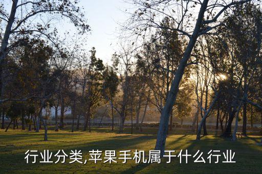 手机行业分类,苹果手机属于什么行业?