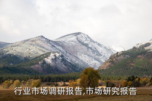 家具行业市场调研报告,市场研究报告