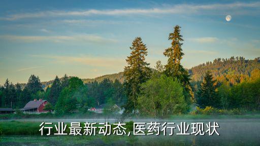 药品行业最新动态,医药行业现状