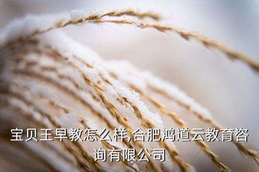 万达宝贝王早教怎么样,合肥鸿道云教育咨询有限公司