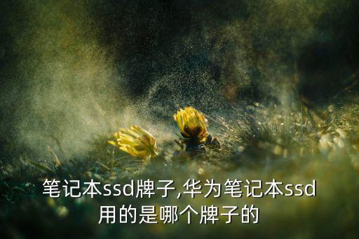 笔记本ssd牌子,华为笔记本ssd用的是哪个牌子的