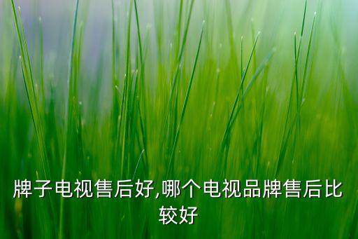 哪个牌子电视售后好,哪个电视品牌售后比较好
