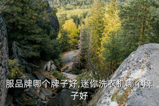 洗衣服品牌哪个牌子好,迷你洗衣机哪个牌子好?