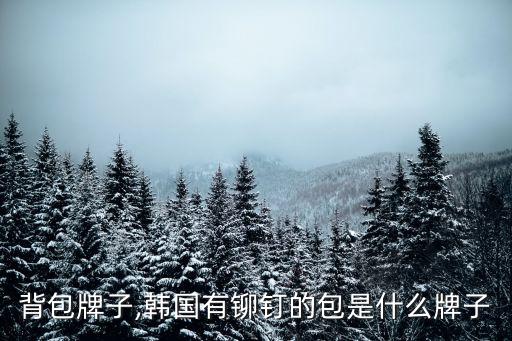 背包牌子,韩国有铆钉的包是什么牌子