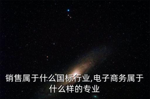 销售属于什么国标行业,电子商务属于什么样的专业