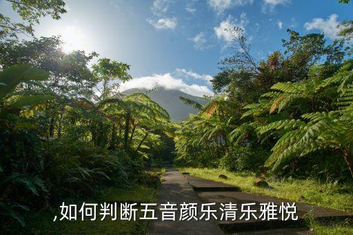 乐调,如何判断五音颜乐清乐雅悦