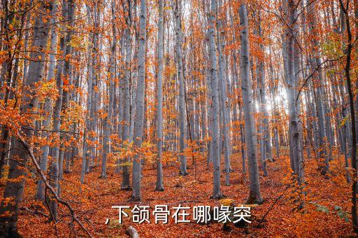 ,下颌骨在哪喙突