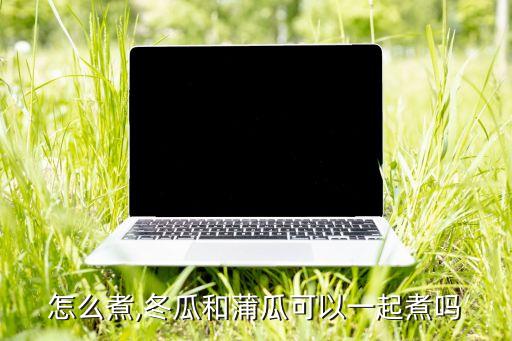 蒲瓜怎么煮,冬瓜和蒲瓜可以一起煮吗?