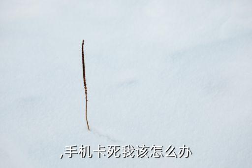 ,手机卡死我该怎么办