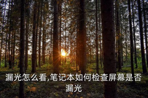 屏幕漏光怎么看,笔记本如何检查屏幕是否漏光?